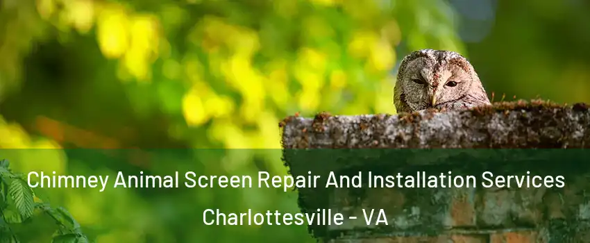  Chimney Animal Screen Repair And Installation Services Charlottesville - VA