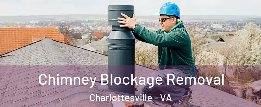  Chimney Blockage Removal Charlottesville - VA