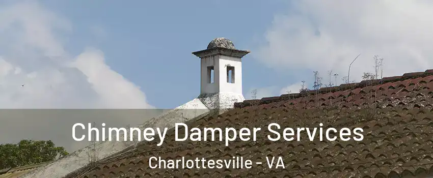  Chimney Damper Services Charlottesville - VA