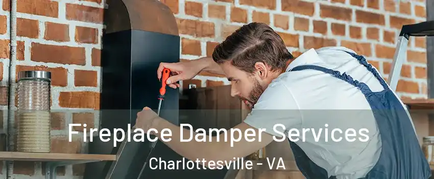  Fireplace Damper Services Charlottesville - VA