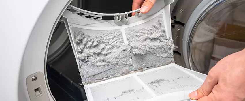 Best Dryer Lint Removal Company in Charlottesville, Virginia