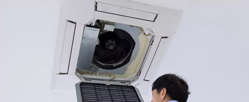 Benefits of Professional Air Duct Cleaning in Charlottesville, Virginia