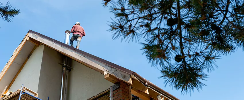 Birds Removal Contractors from Chimney in Charlottesville, VA