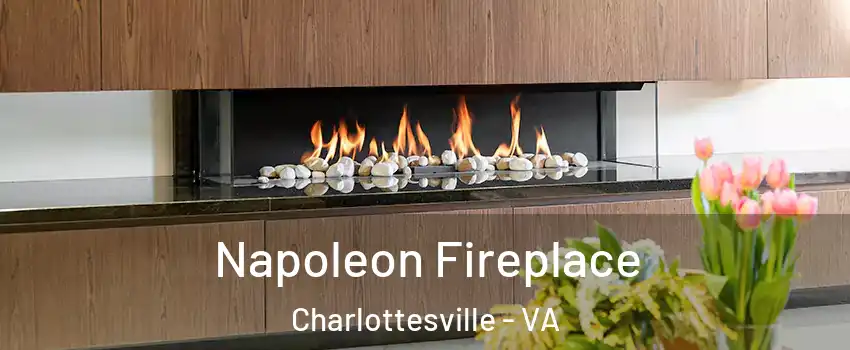  Napoleon Fireplace Charlottesville - VA
