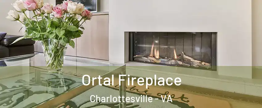 Ortal Fireplace Charlottesville - VA